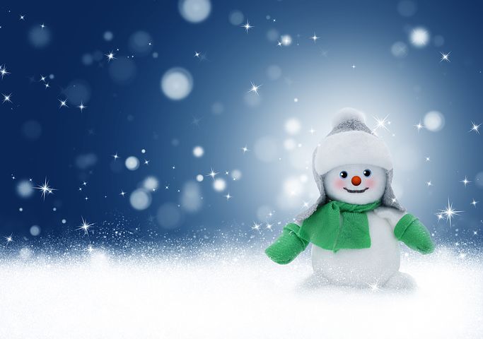 Detail Images Of Snowman Nomer 29