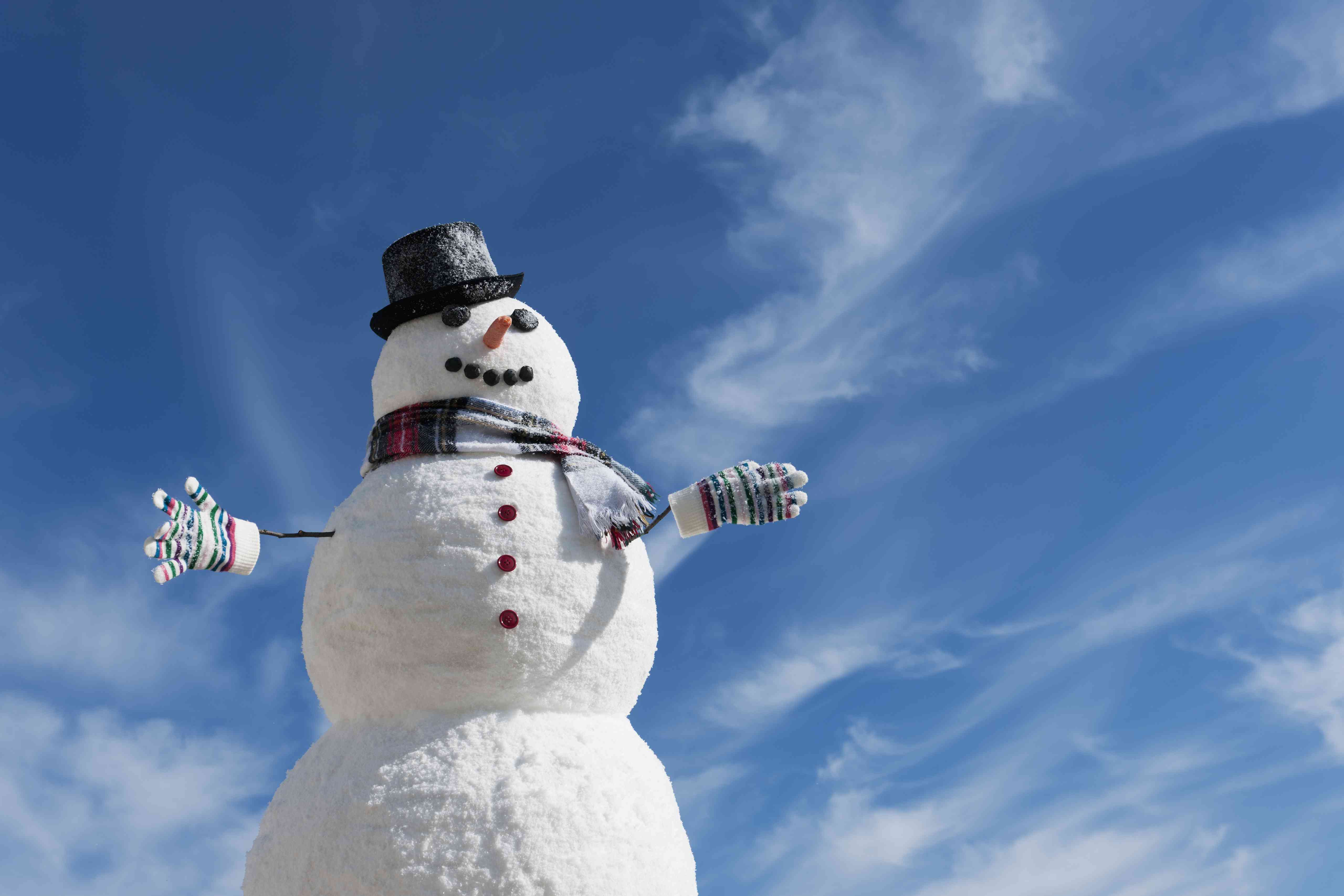 Detail Images Of Snowman Nomer 34