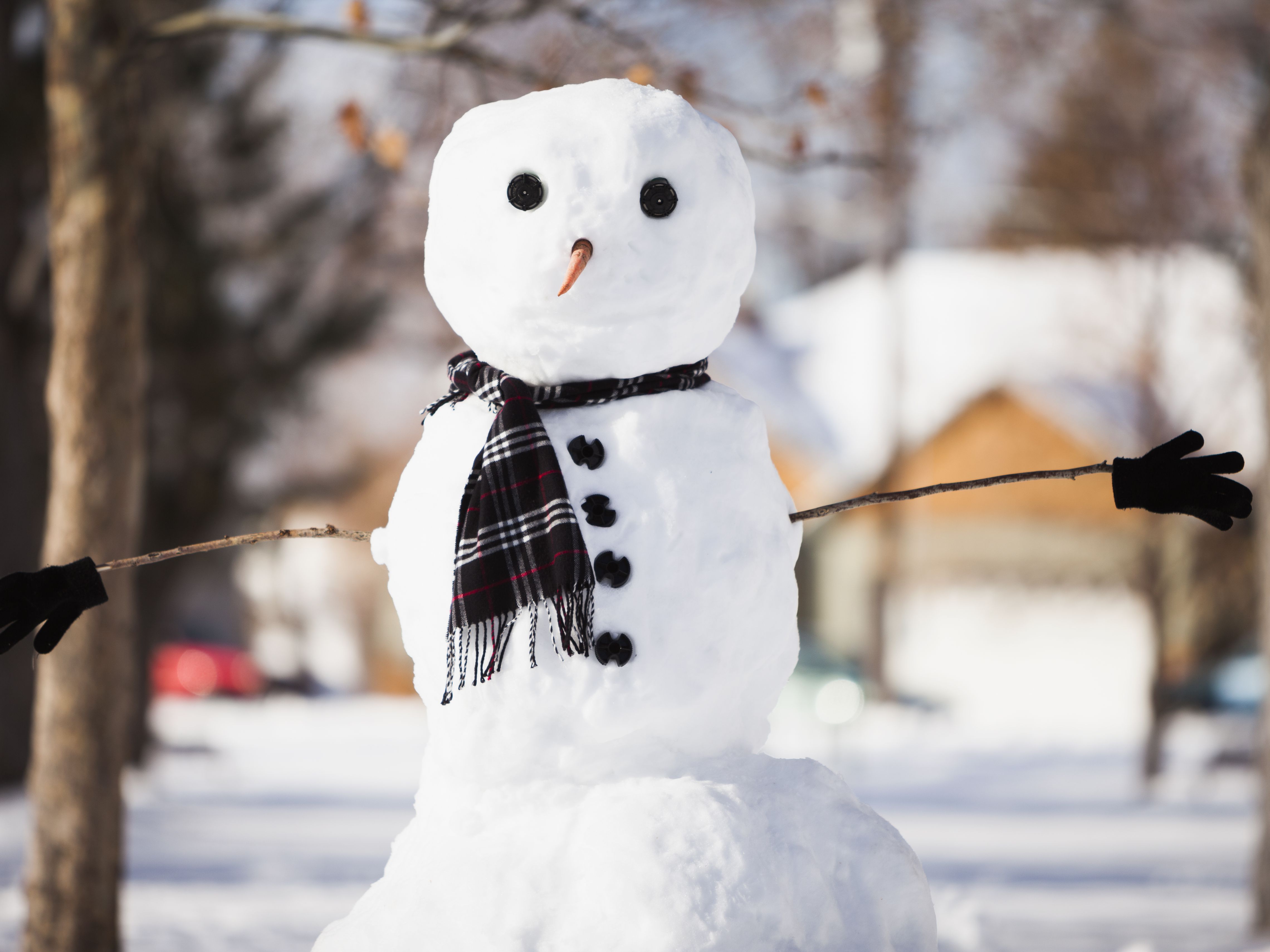 Detail Images Of Snowman Nomer 5