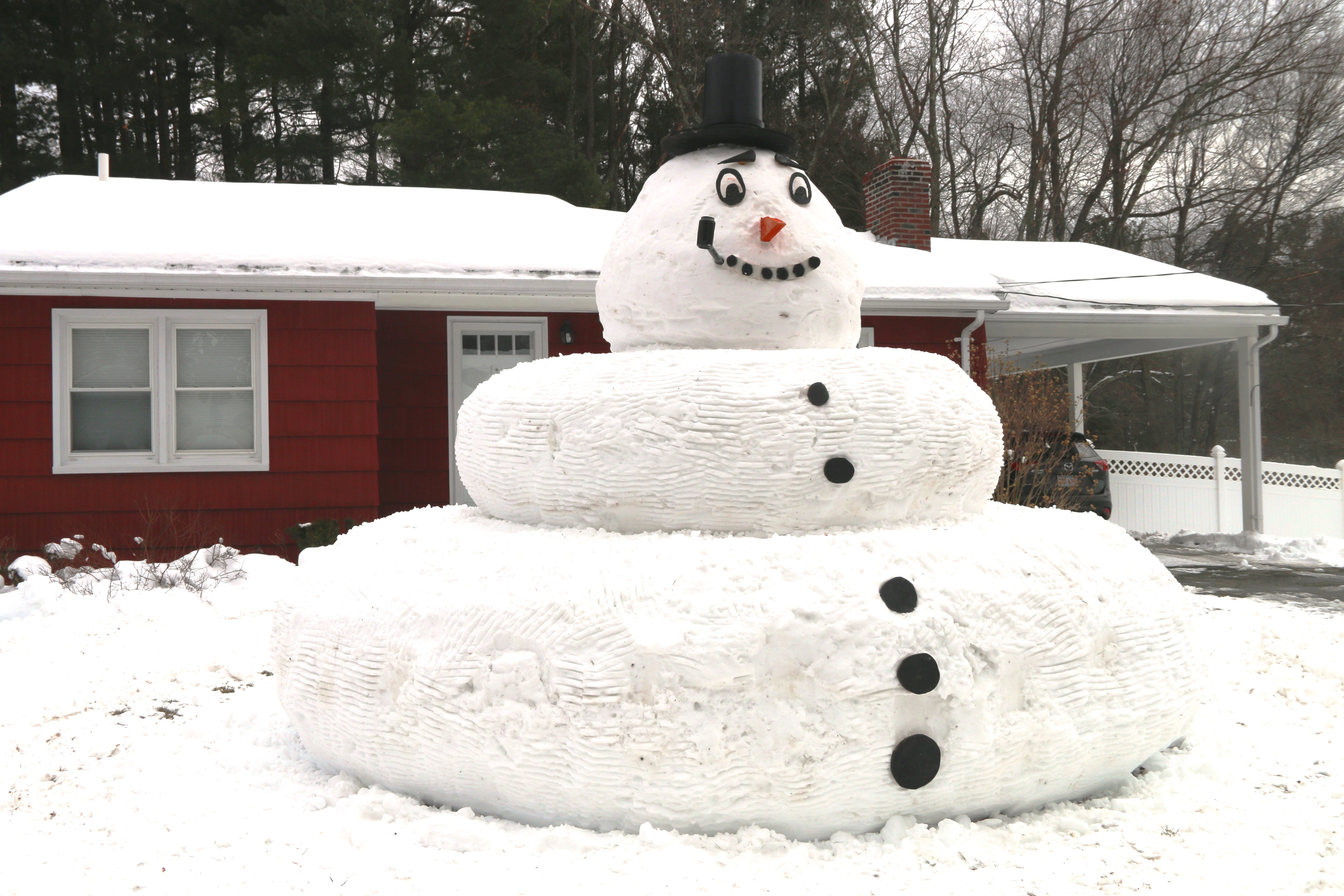 Detail Images Of Snowman Nomer 43