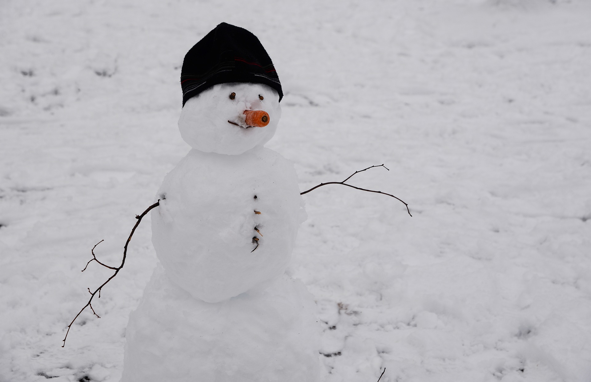 Detail Images Of Snowman Nomer 44