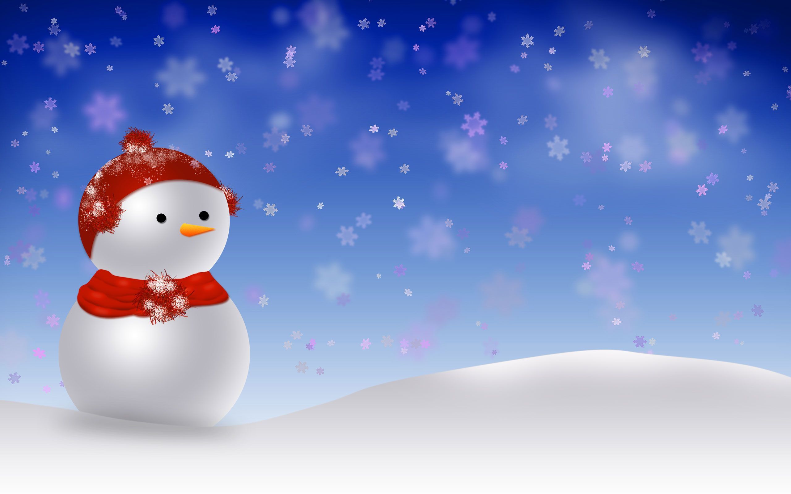 Detail Images Of Snowman Nomer 47