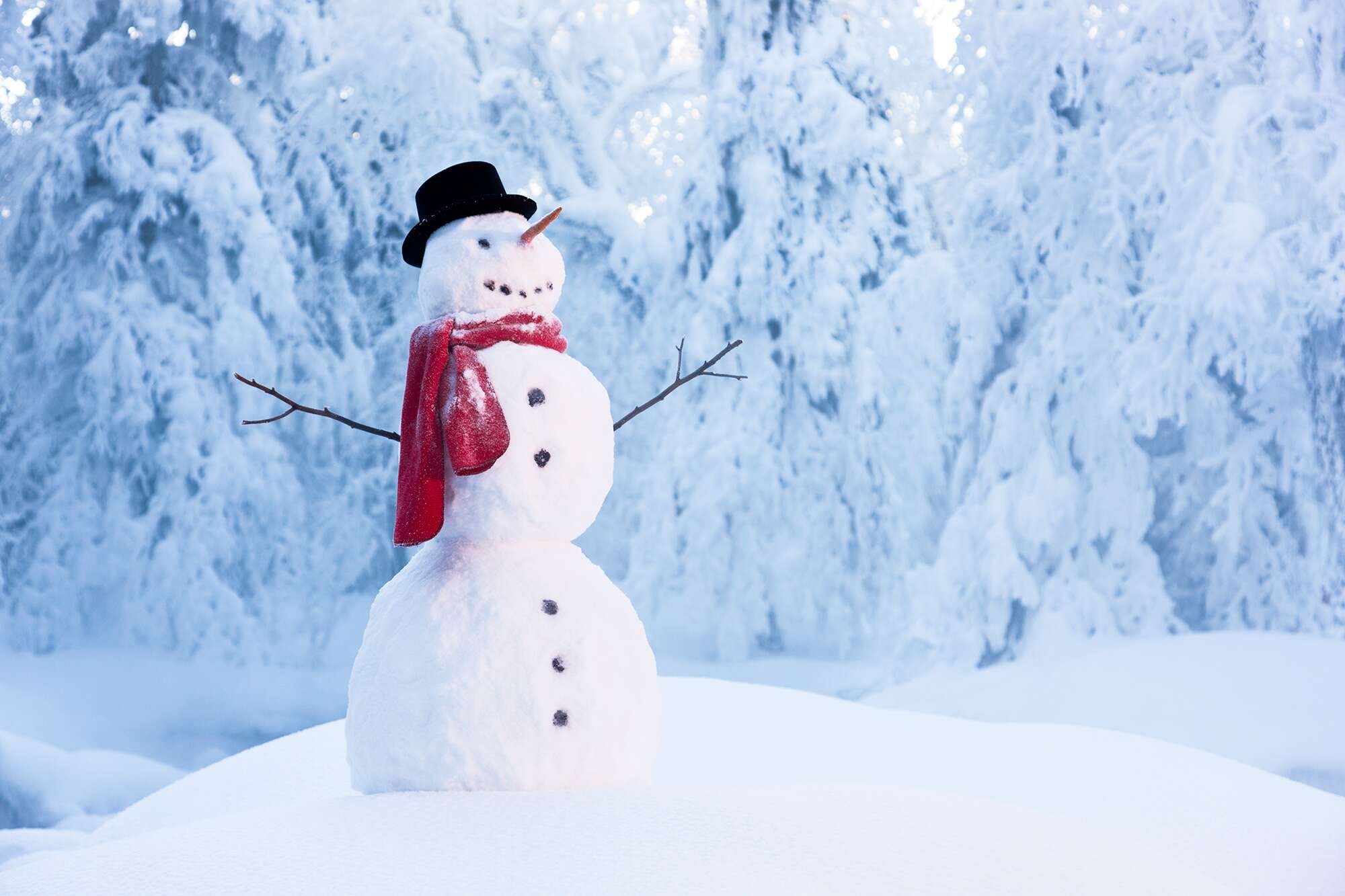Detail Images Of Snowman Nomer 49