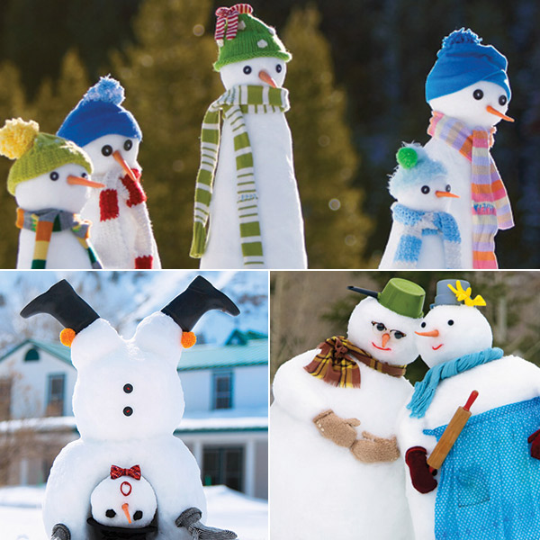 Detail Images Of Snowman Nomer 53