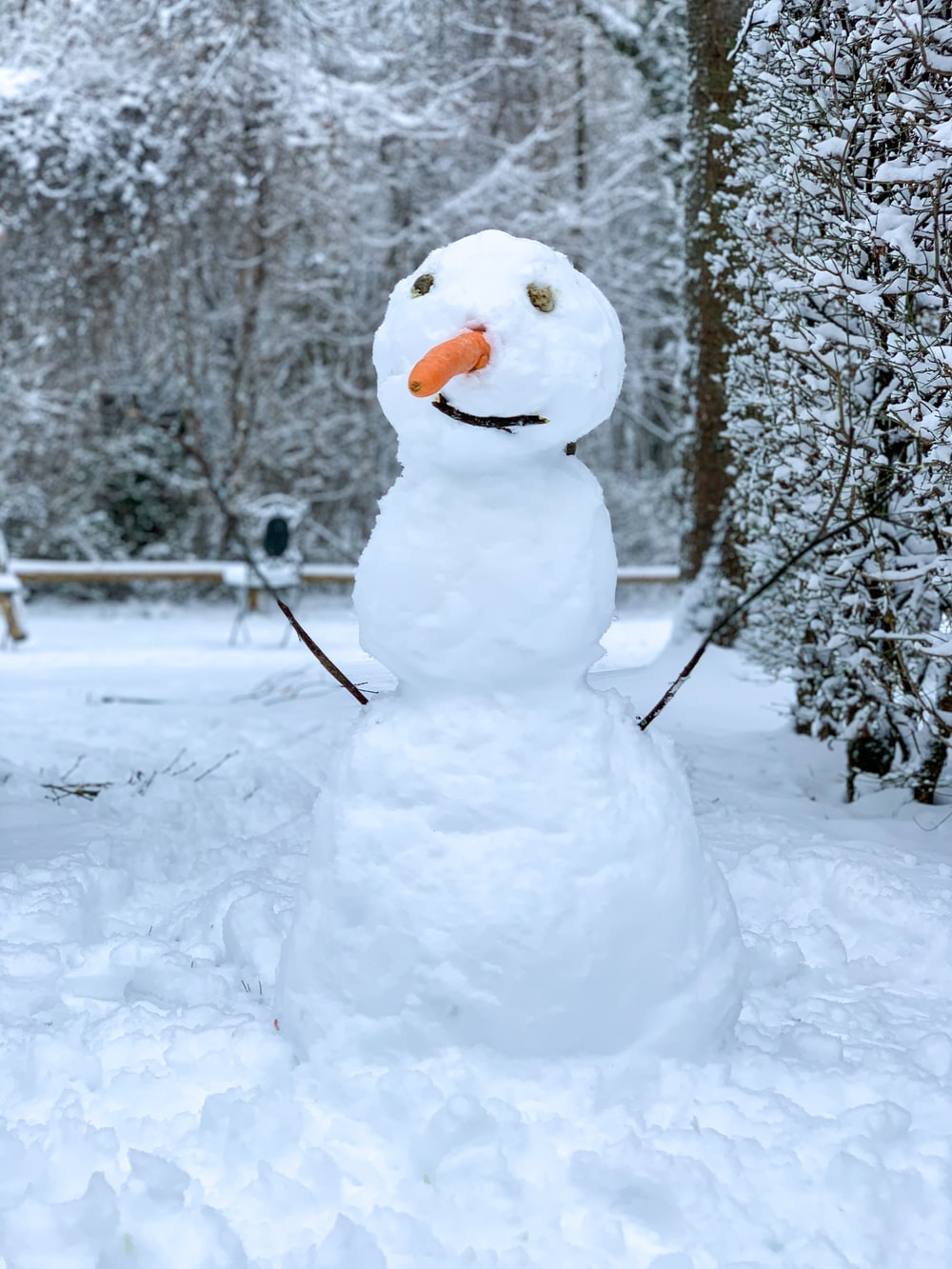 Detail Images Of Snowman Nomer 10