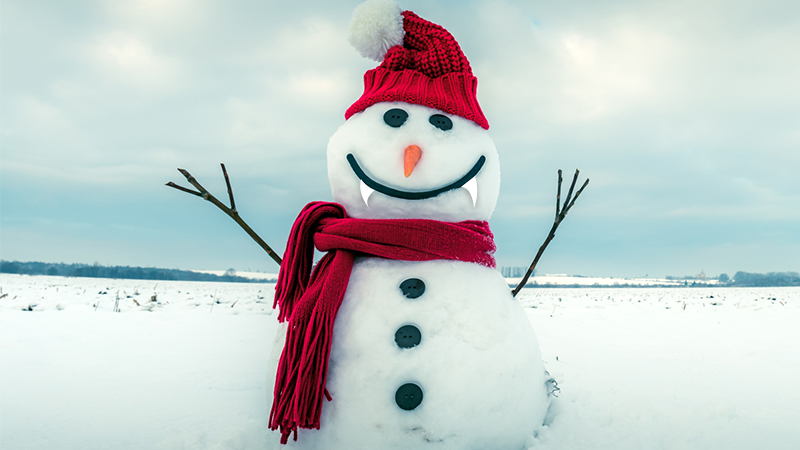 Detail Images Of Snowmen Nomer 29