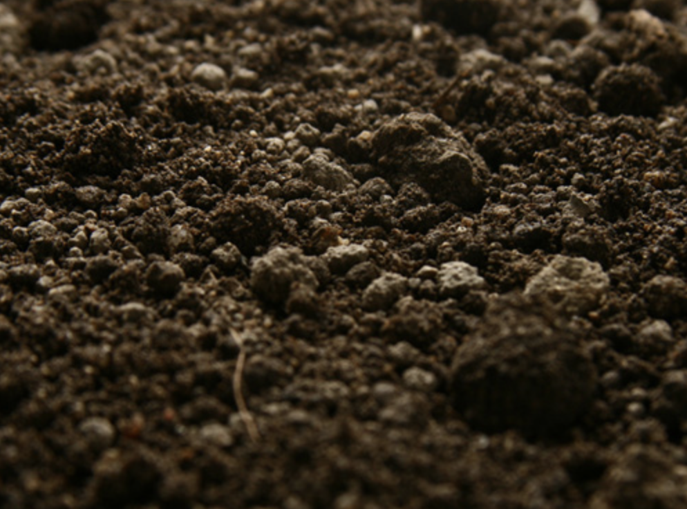 Detail Images Of Soil Nomer 17