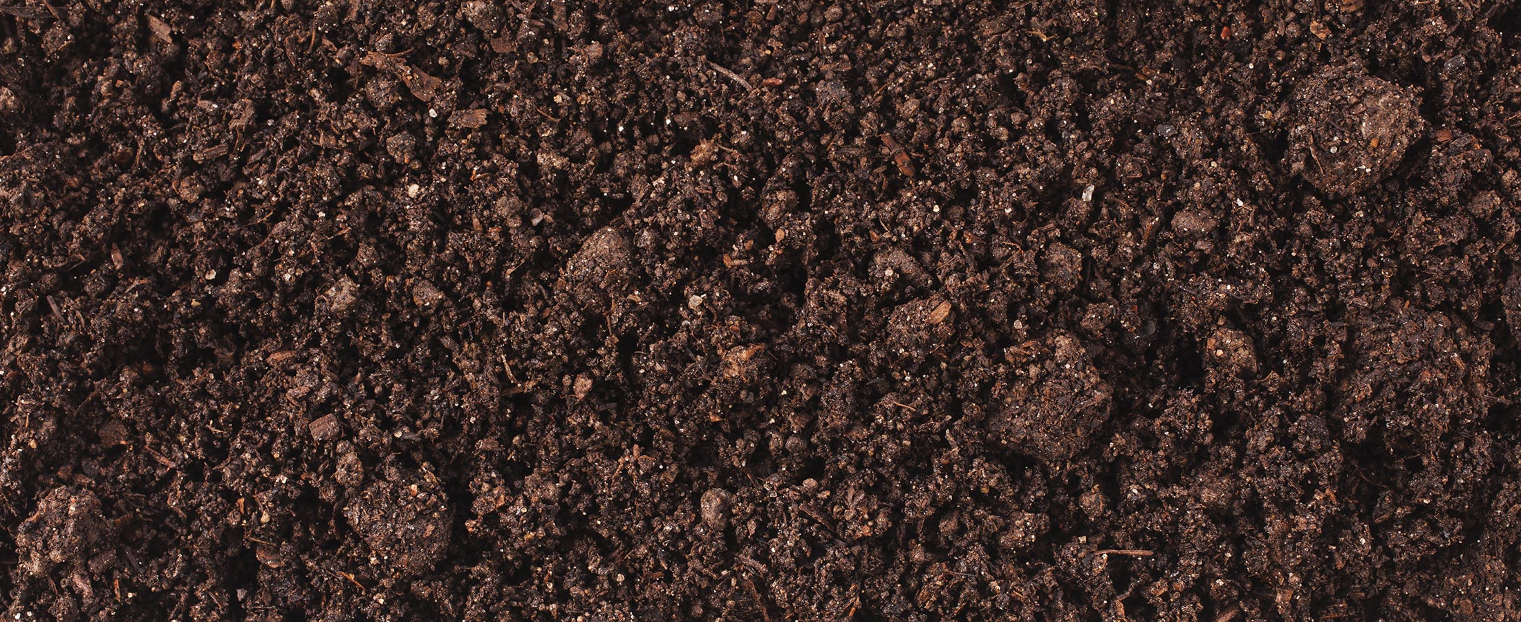 Detail Images Of Soil Nomer 20