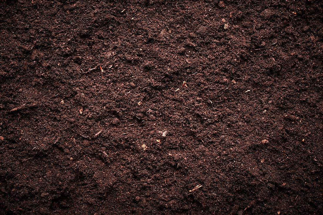 Detail Images Of Soil Nomer 5