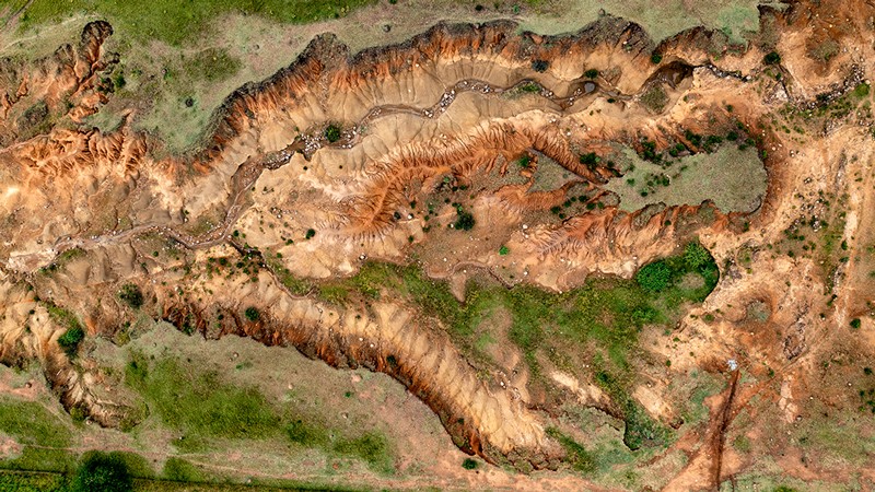 Detail Images Of Soil Nomer 41