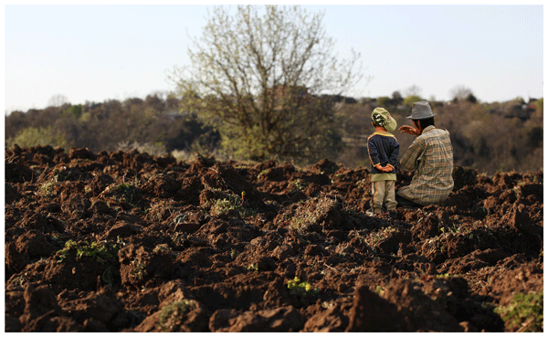 Detail Images Of Soil Nomer 44