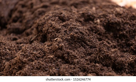 Detail Images Of Soil Nomer 10