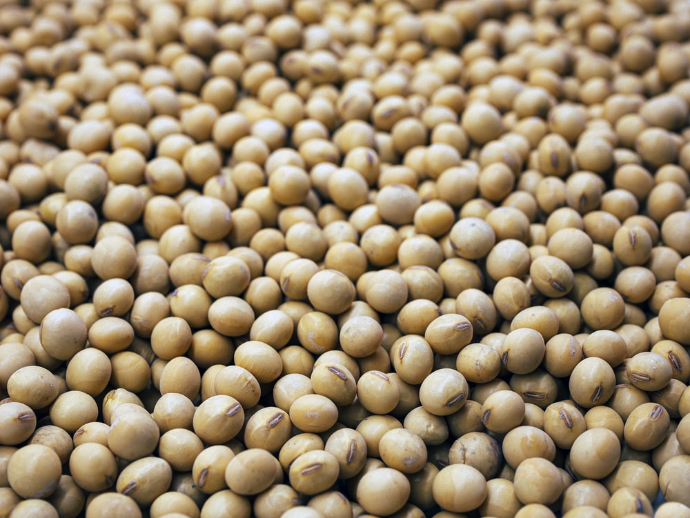 Detail Images Of Soybeans Nomer 18