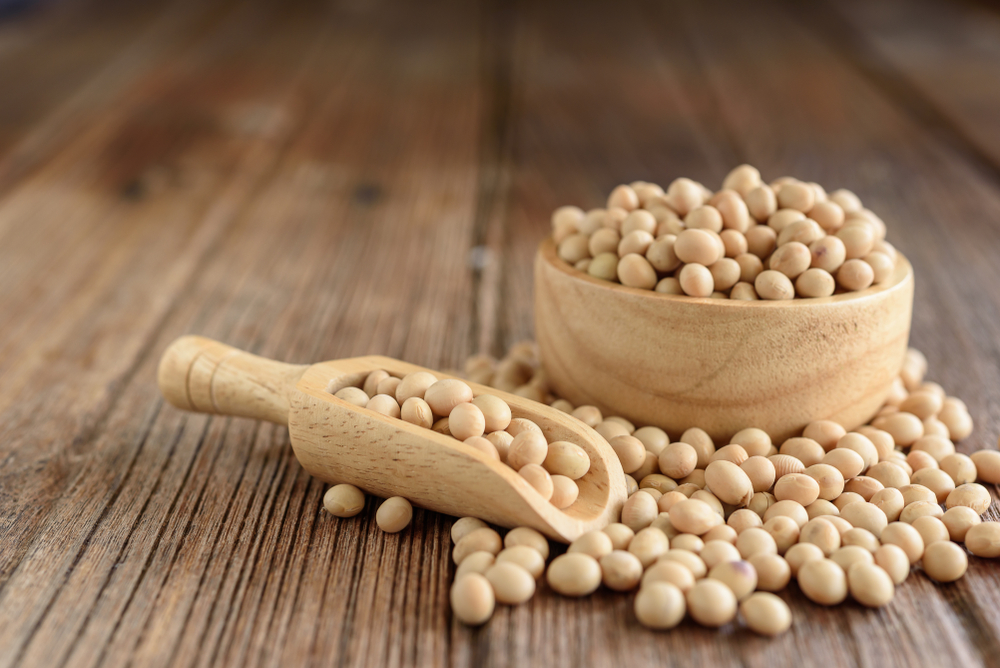 Detail Images Of Soybeans Nomer 24