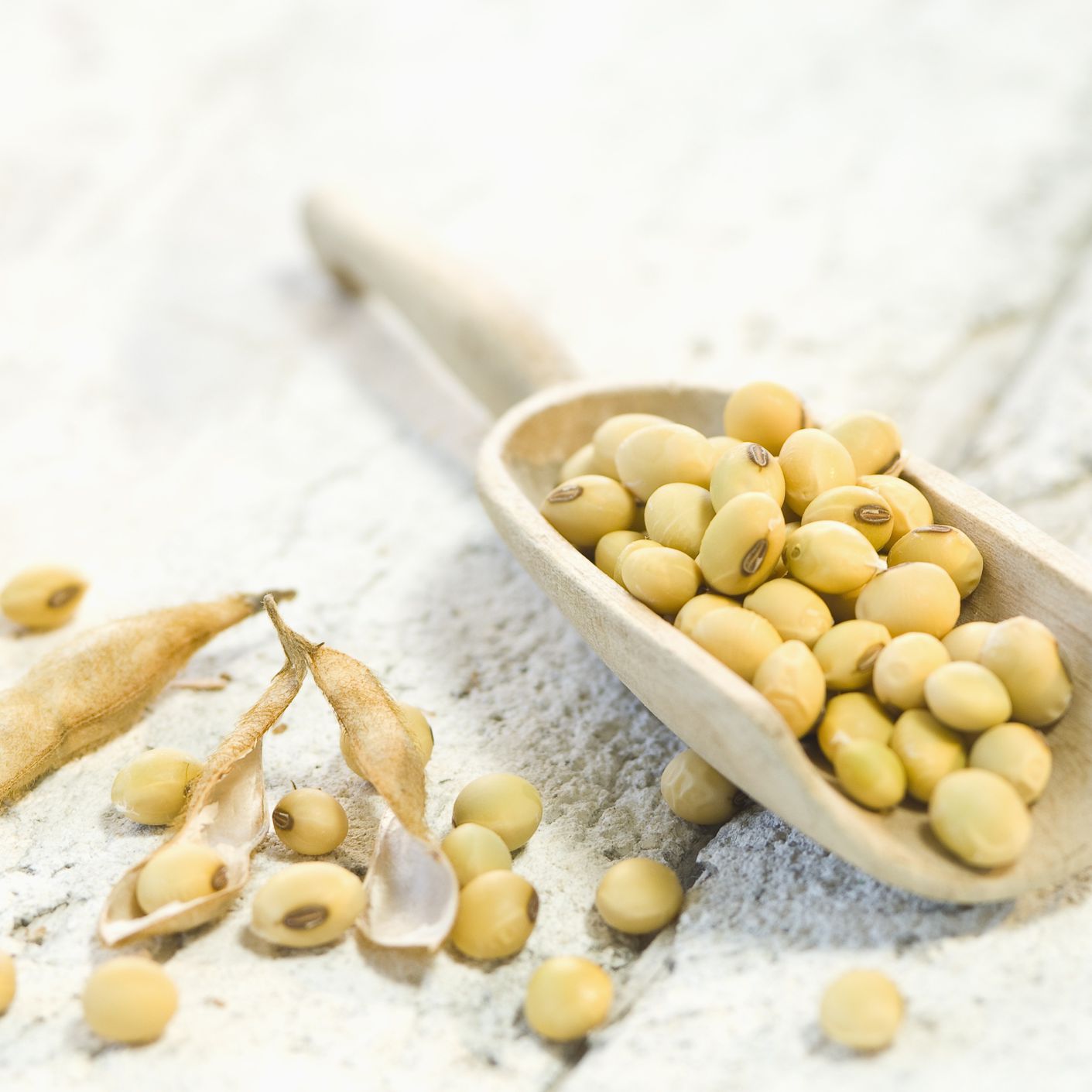 Detail Images Of Soybeans Nomer 30