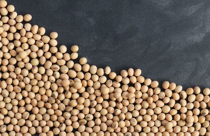 Detail Images Of Soybeans Nomer 31
