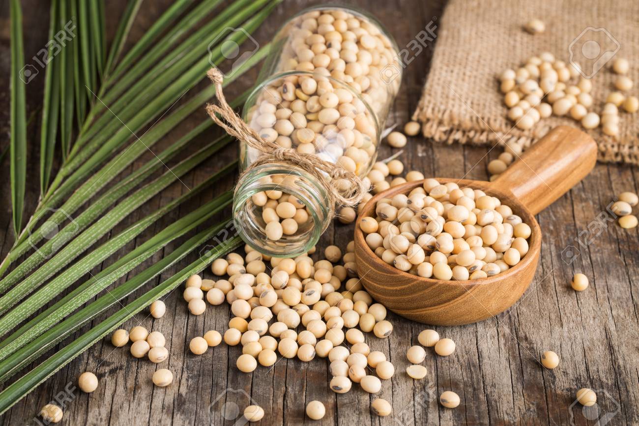 Detail Images Of Soybeans Nomer 45