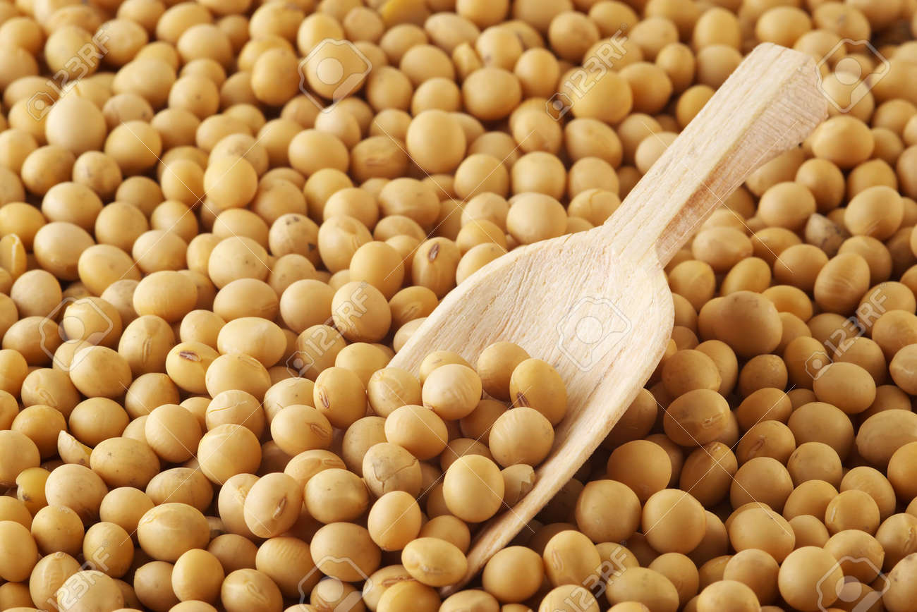 Detail Images Of Soybeans Nomer 49