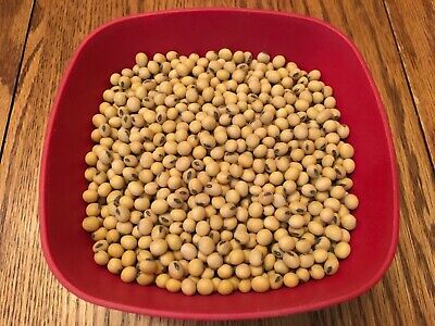 Detail Images Of Soybeans Nomer 54