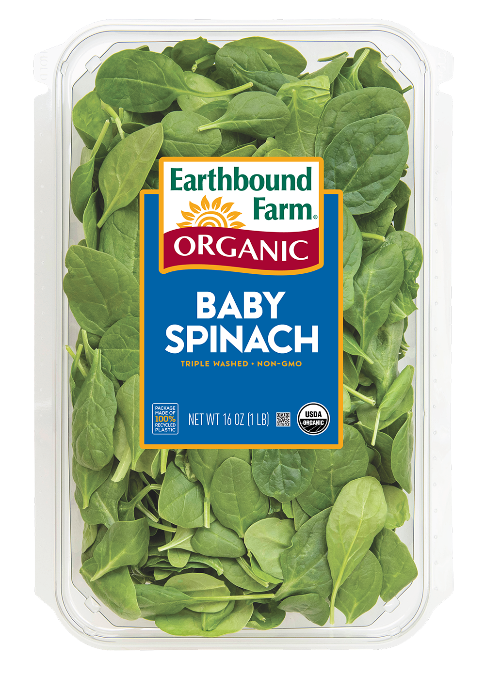 Detail Images Of Spinach Nomer 33