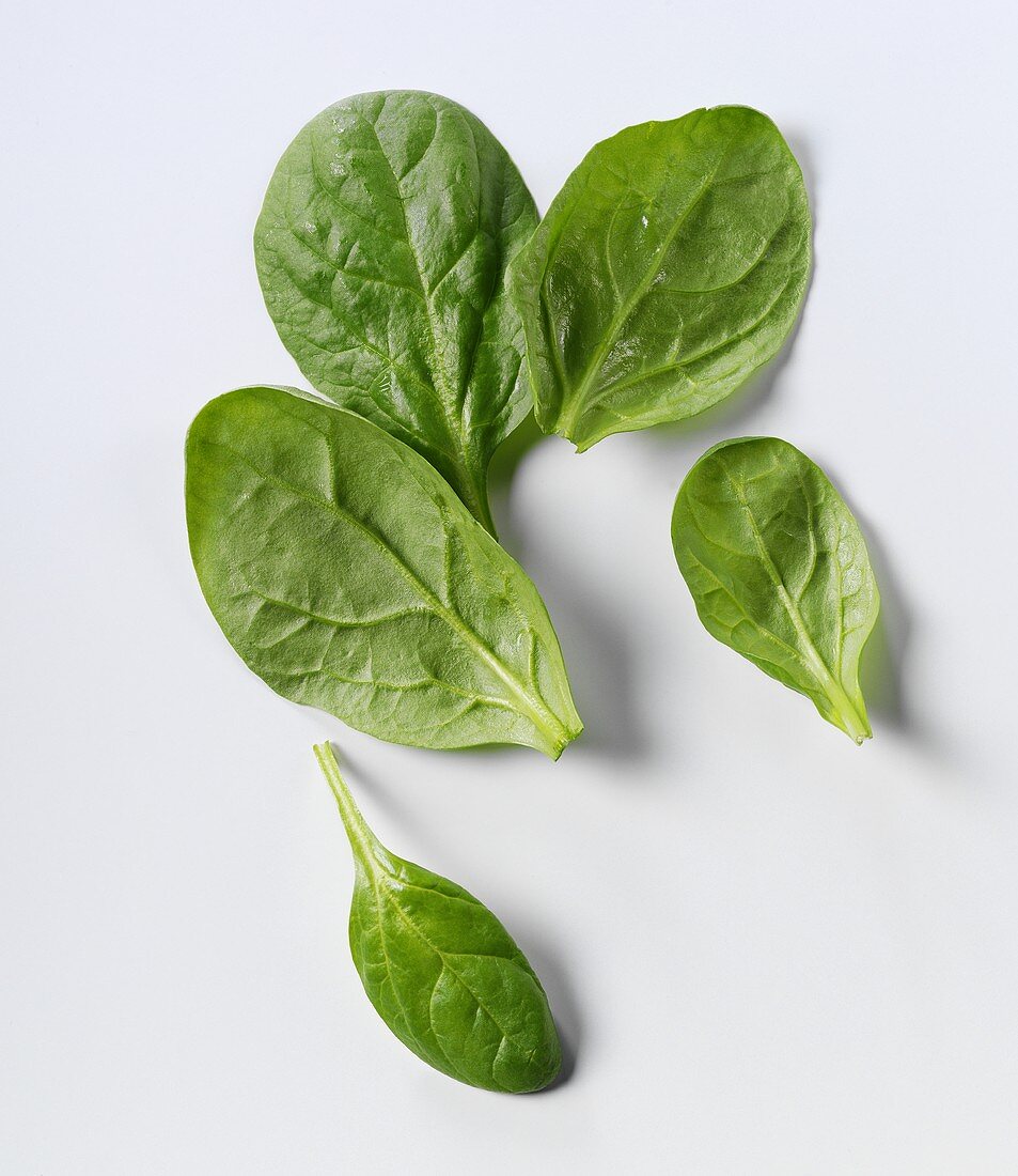 Detail Images Of Spinach Leaves Nomer 15