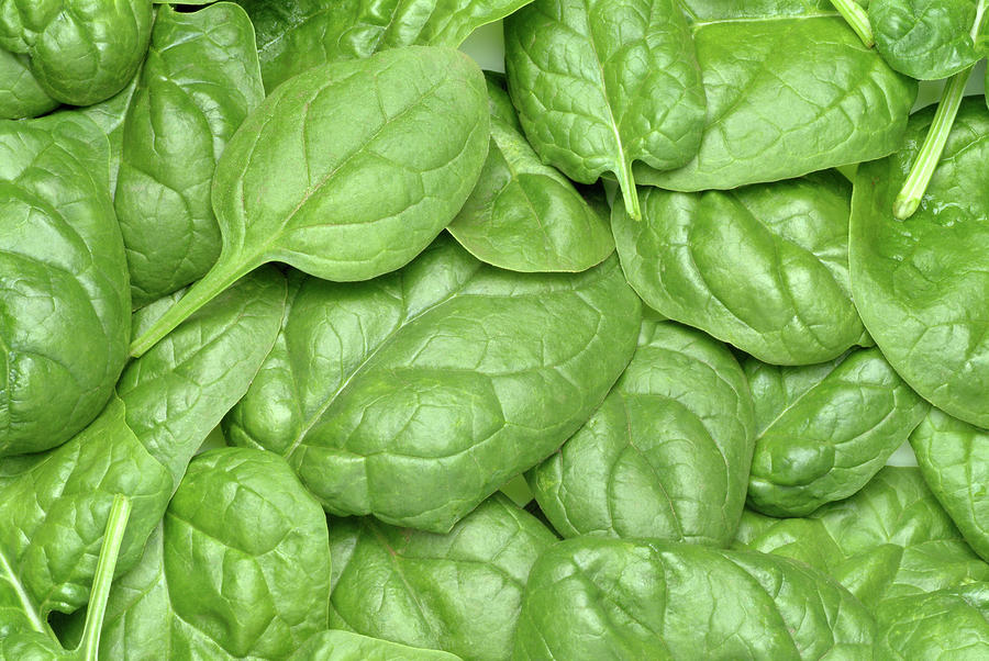 Detail Images Of Spinach Leaves Nomer 17