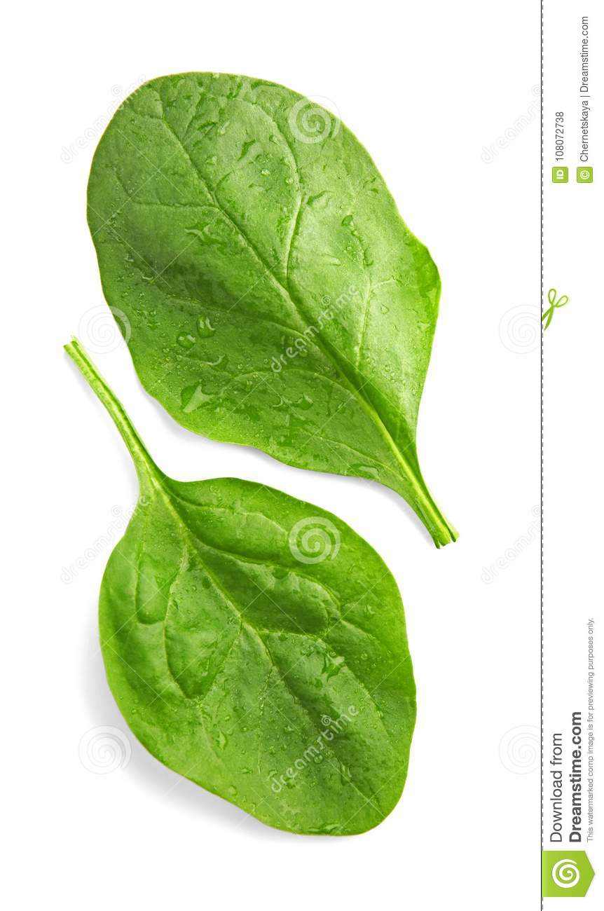 Detail Images Of Spinach Leaves Nomer 20