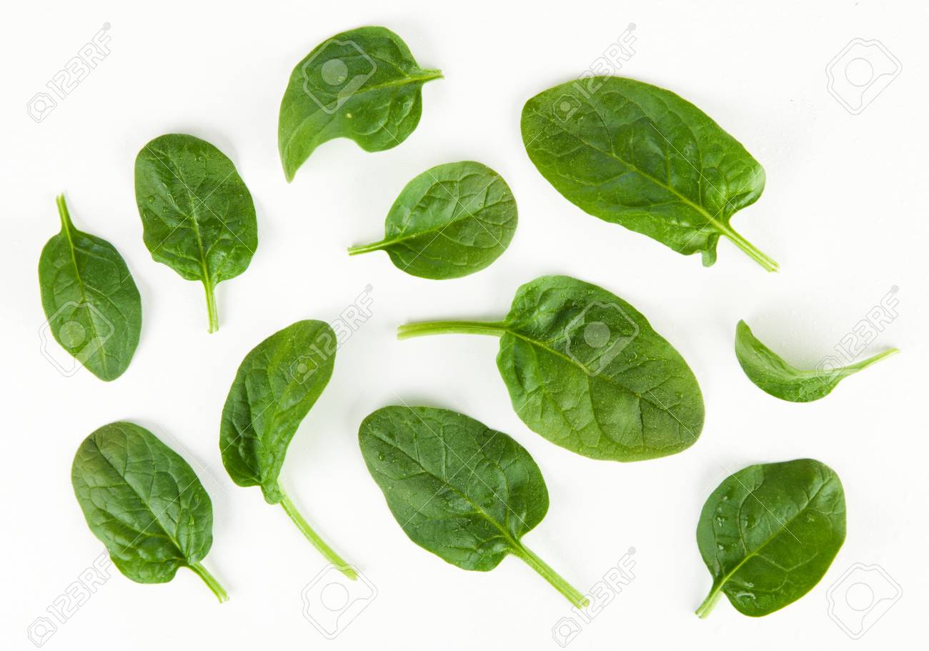 Detail Images Of Spinach Leaves Nomer 24