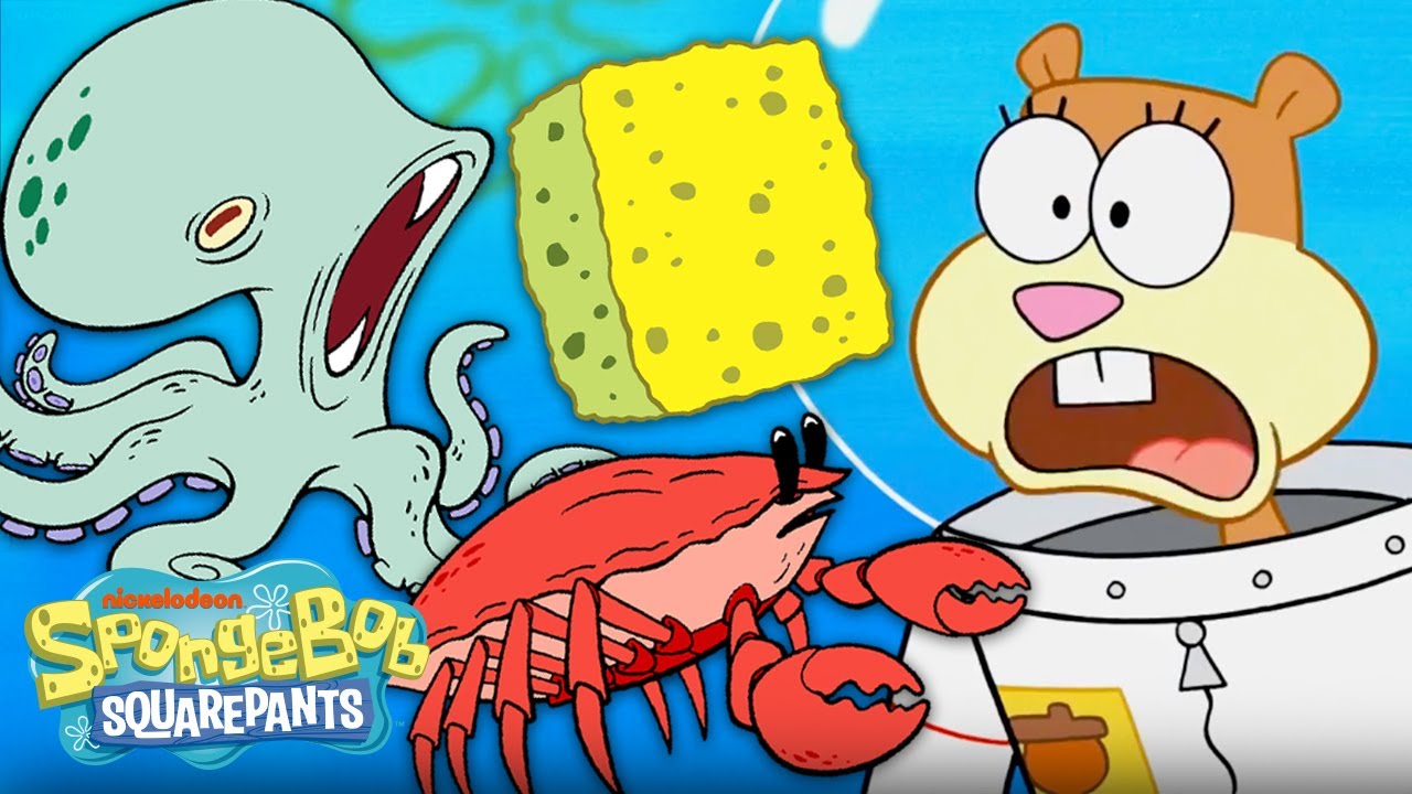 Detail Images Of Spongebob Characters Nomer 26