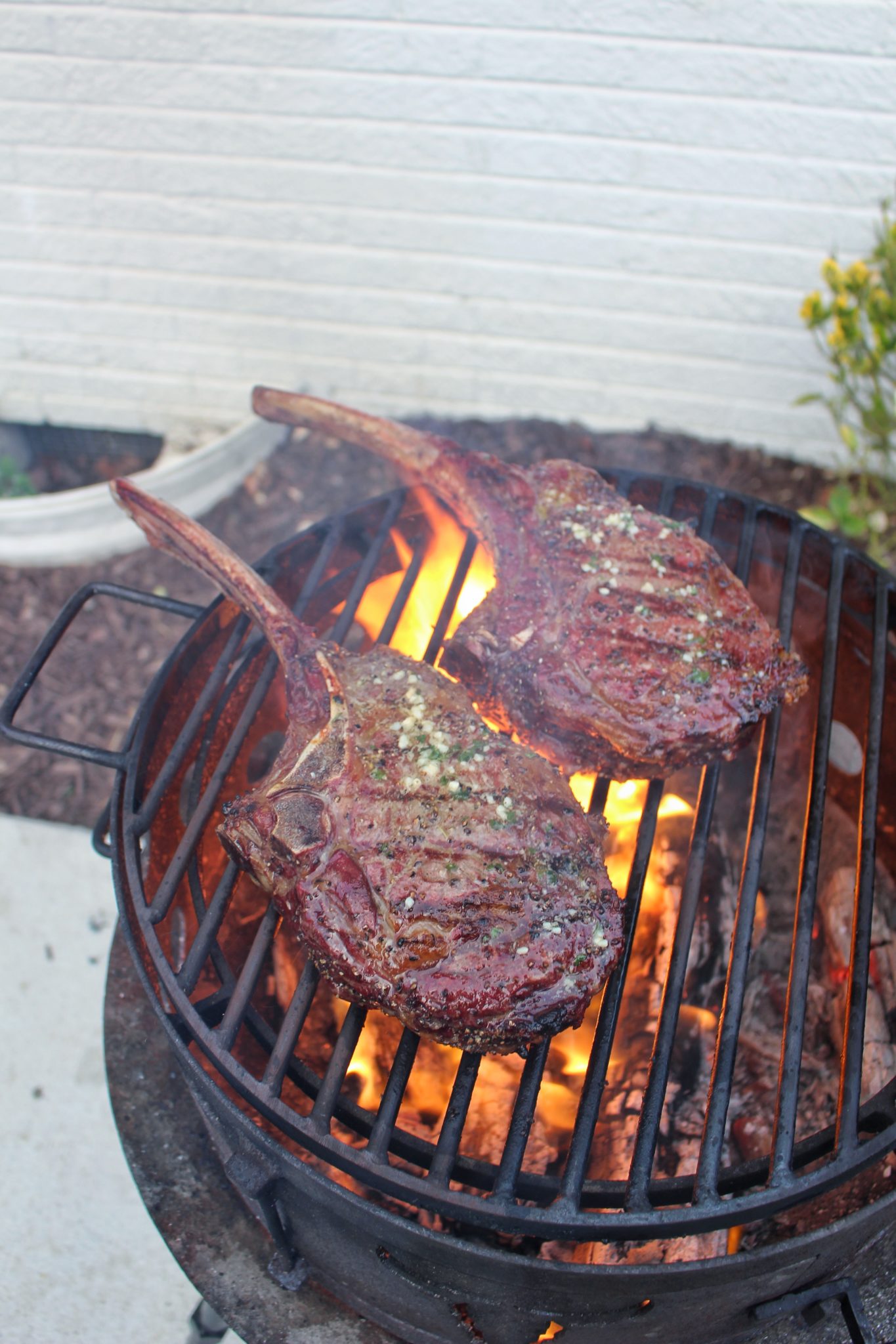 Detail Images Of Steaks Nomer 53