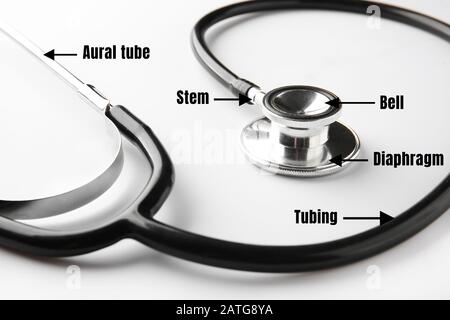 Detail Images Of Stethoscope Nomer 54