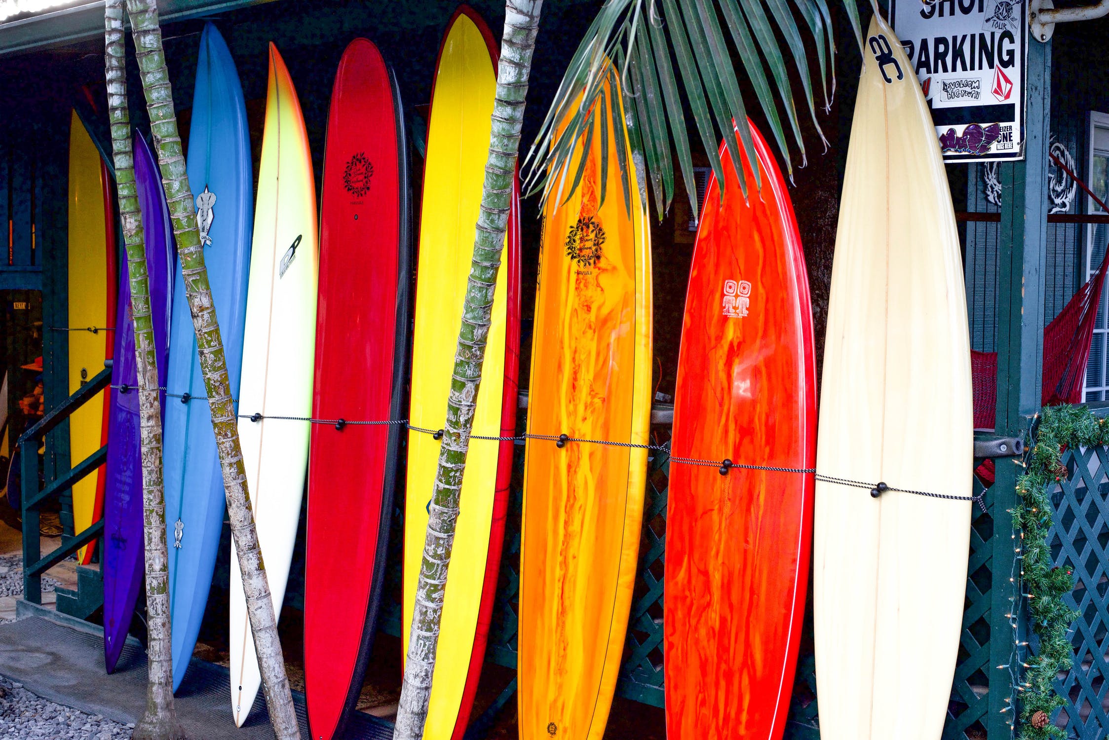 Detail Images Of Surf Boards Nomer 15