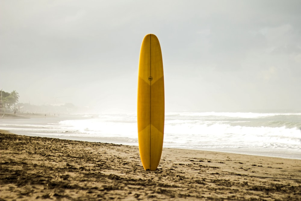 Detail Images Of Surf Boards Nomer 9