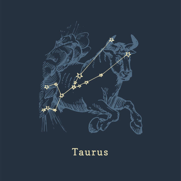 Detail Images Of Taurus Nomer 11