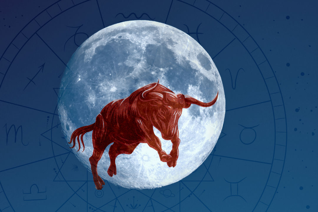 Detail Images Of Taurus Nomer 14