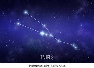 Detail Images Of Taurus Nomer 49