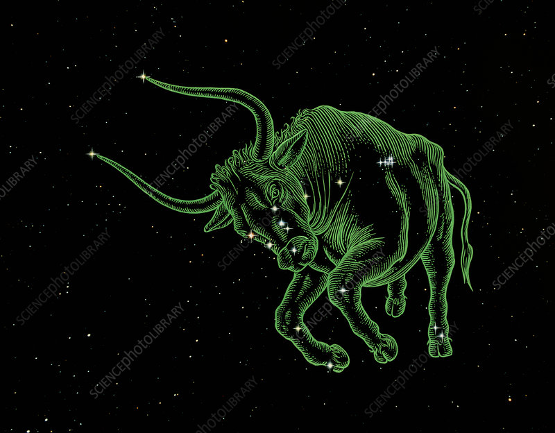 Detail Images Of Taurus Nomer 57