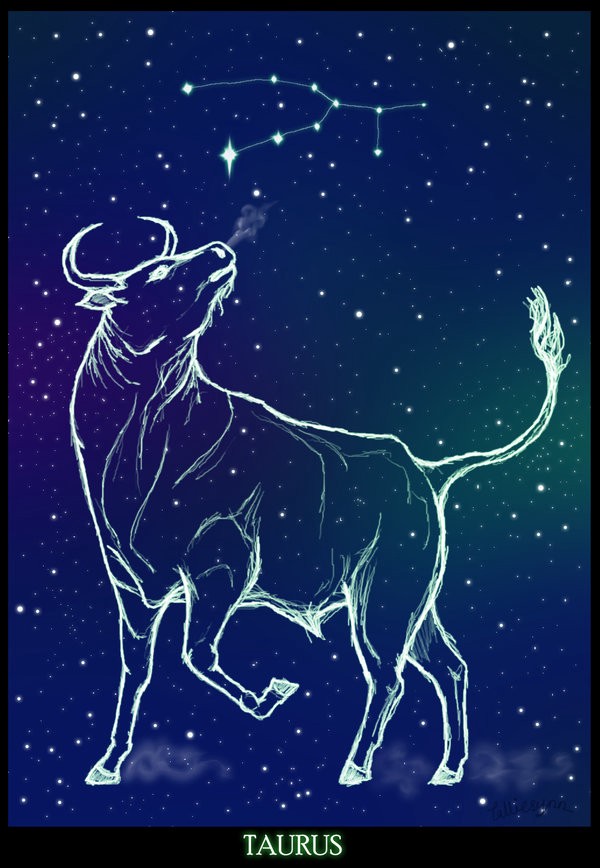 Detail Images Of Taurus Nomer 9