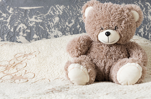 Detail Images Of Teddy Bear Nomer 13