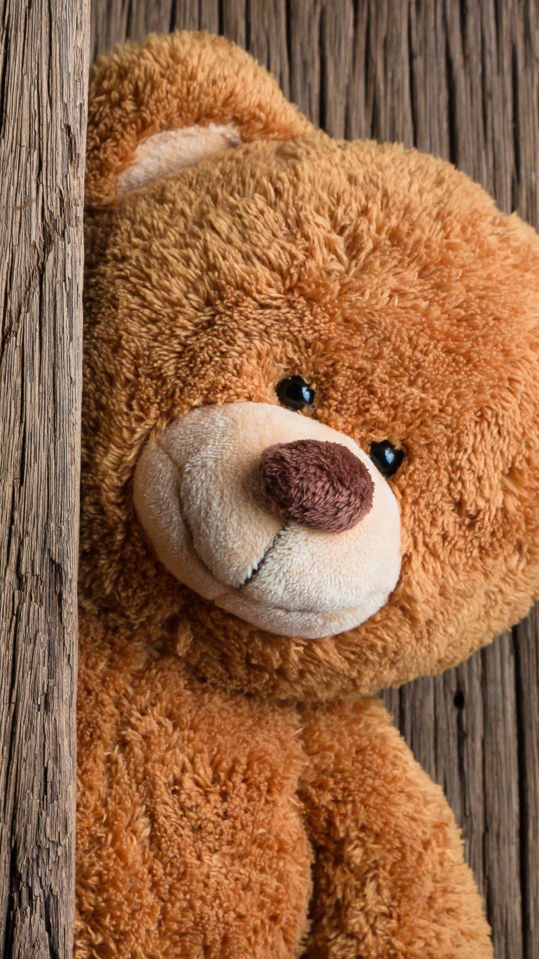 Detail Images Of Teddy Bear Nomer 27