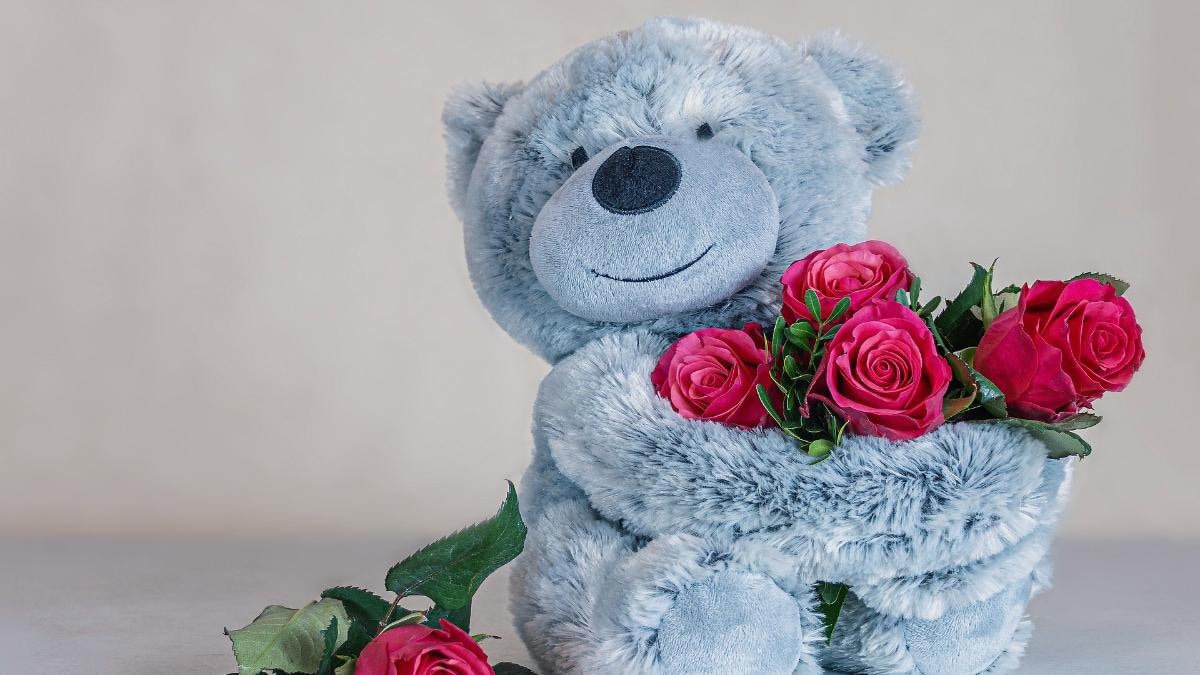 Detail Images Of Teddy Day Nomer 23