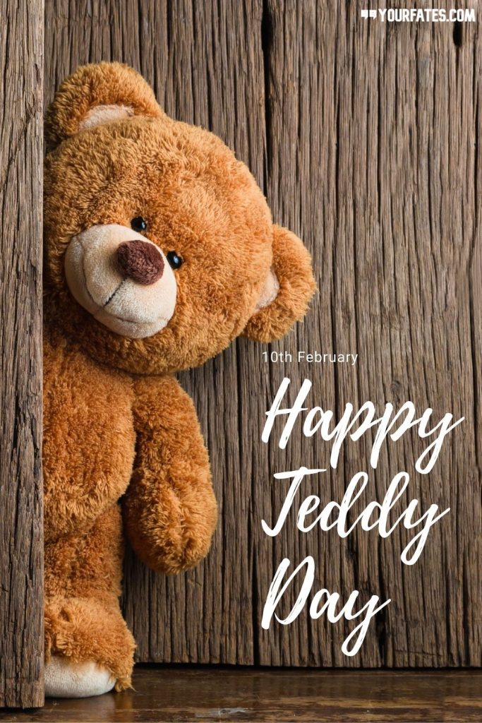 Detail Images Of Teddy Day Nomer 45