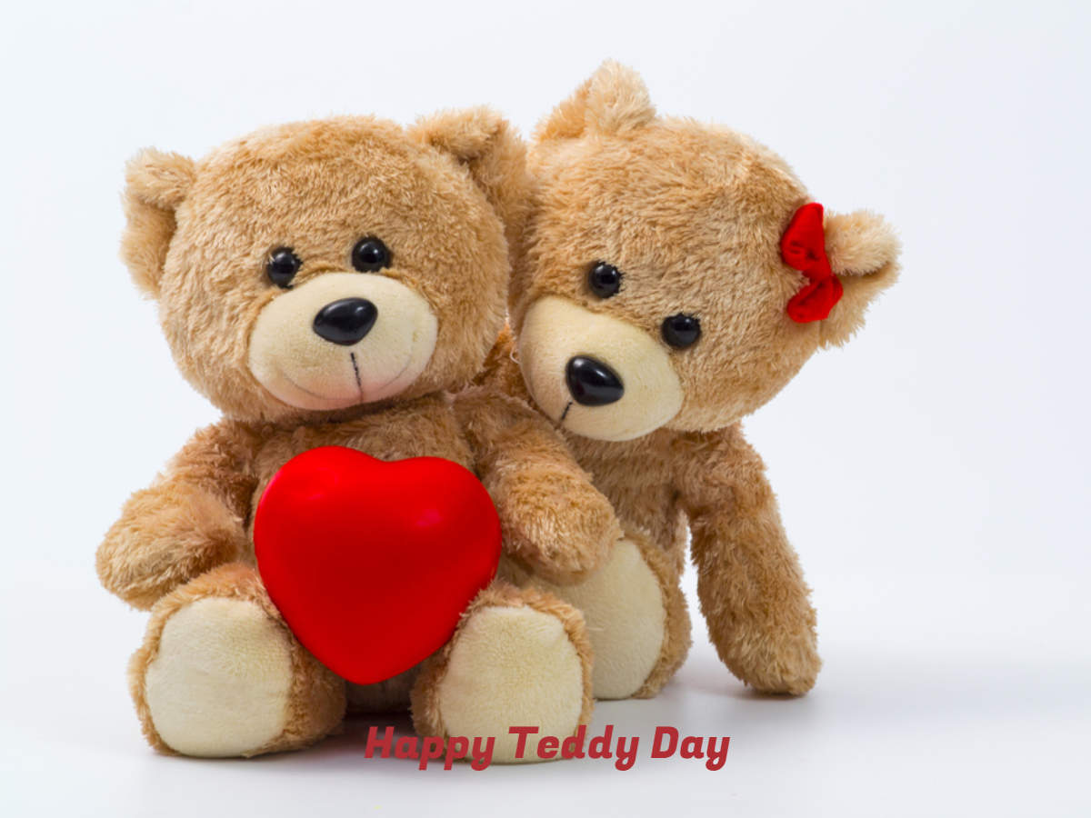 Detail Images Of Teddy Day Nomer 9