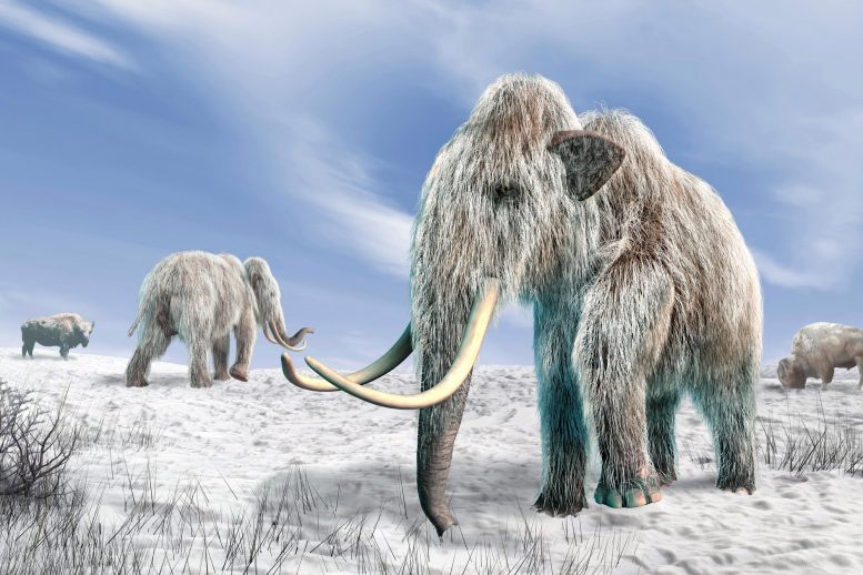 Detail Images Of The Ice Age Nomer 4