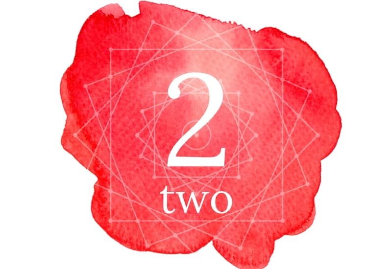 Detail Images Of The Number 2 Nomer 49