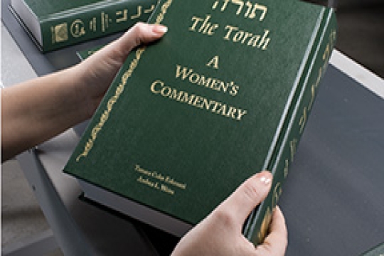 Detail Images Of The Torah Nomer 25