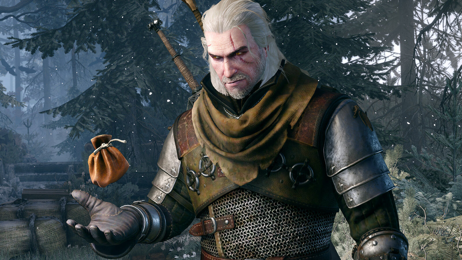 Detail Images Of The Witcher Nomer 32