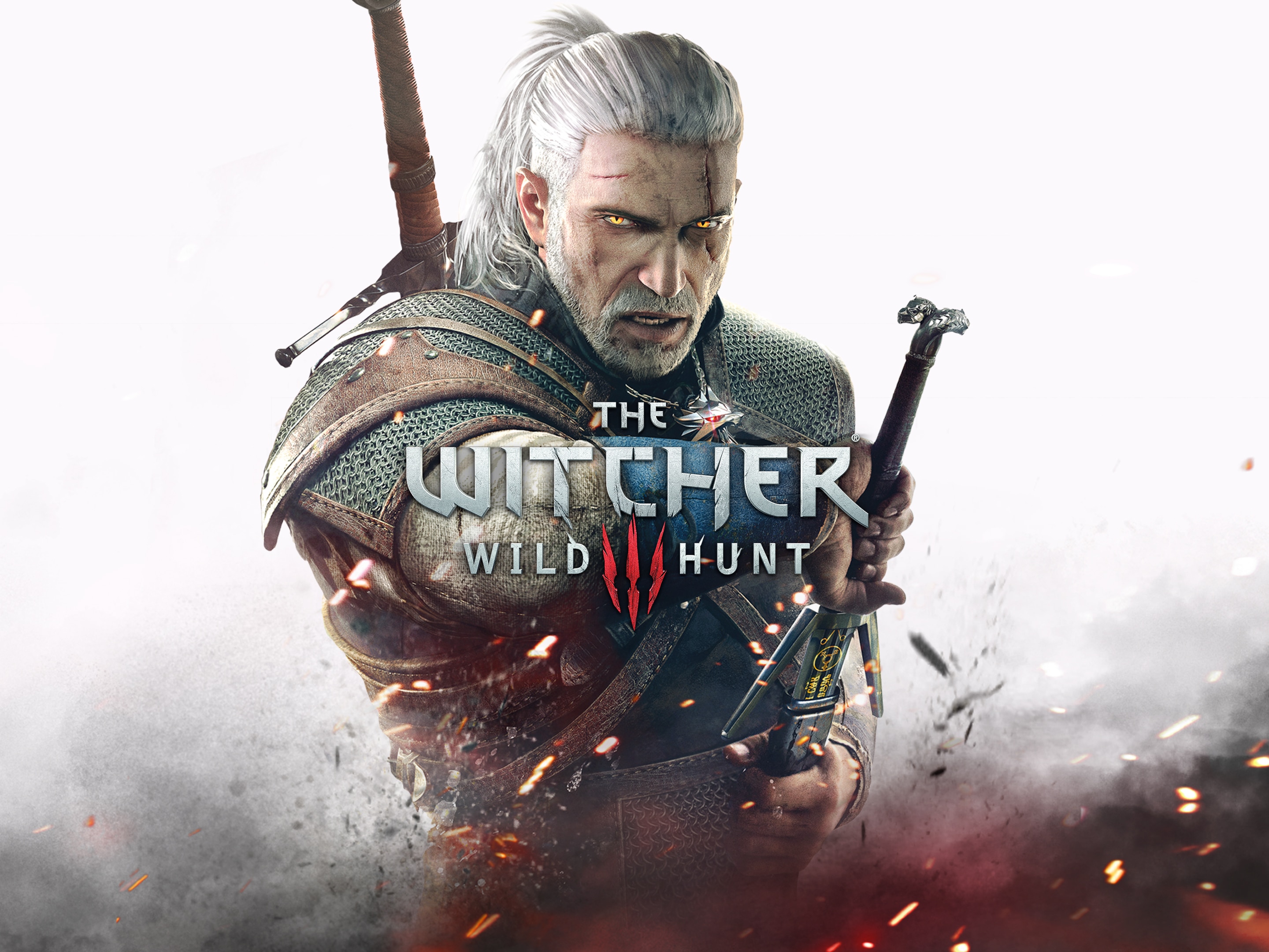 Detail Images Of The Witcher Nomer 37