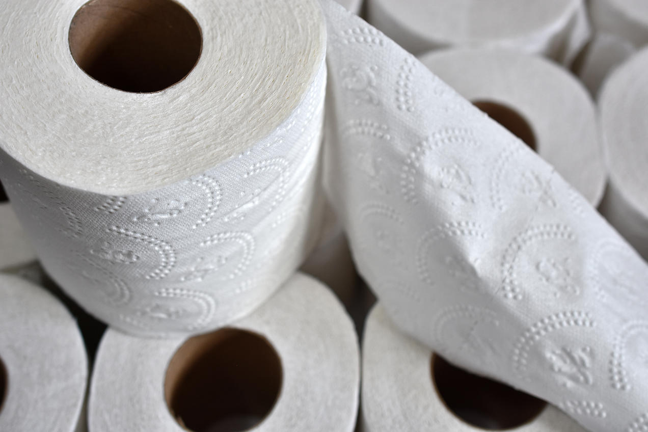Detail Images Of Toilet Paper Nomer 21