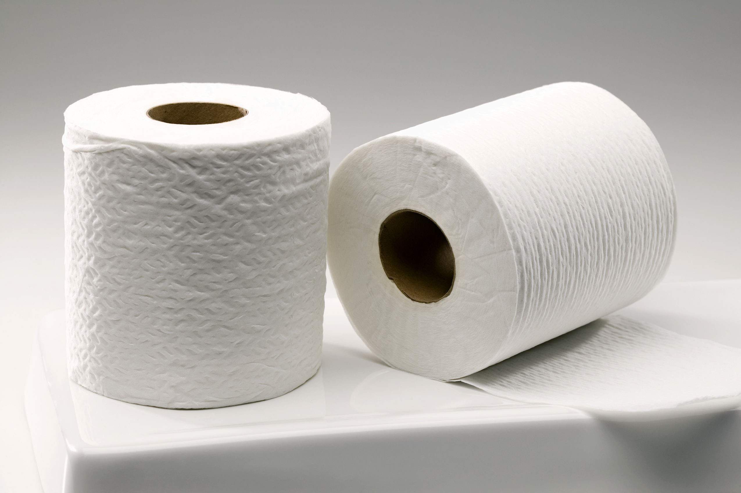 Detail Images Of Toilet Paper Nomer 31